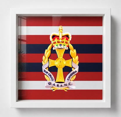 Queen Alexandra's Royal Army Nursing Corps Queen's Crown Cap Badge Display Frame