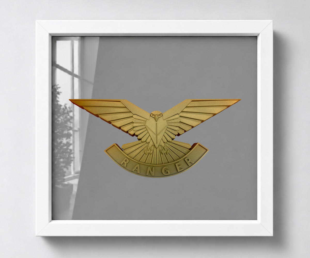 Ranger Regiment cap badge in a white shadow-box frame, showing the falcon and RANGER scroll against grey backing