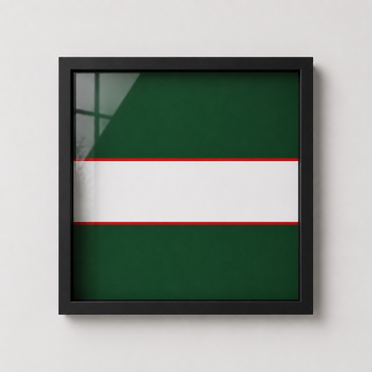 The Royal Regiment of Wales Silver, Gold & White Cap Badge Display Frame - Precision Military Emblens 