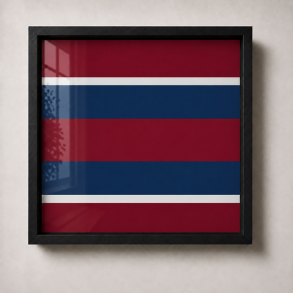 1st The Queen's Dragoon Guards military display frame made in Leicestershire