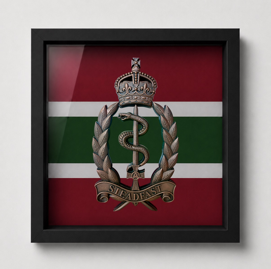 Royal Army Medical Service Brass Coloured Hand Painted Display Frame - Precision Mlitary Emblems 