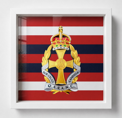 Queen Alexandra's Royal Army Nursing Corps King's Crown Cap Badge Display Frame - Precision Military Emblems 
