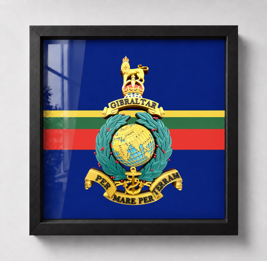 Royal Marines King's Crown Globe and Laurel Badge display frame in black