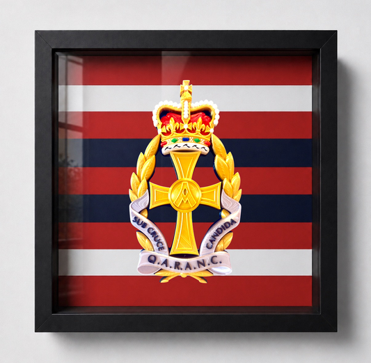 Queen Alexandra's Royal Army Nursing Corps Queen's Crown Cap Badge Display Frame