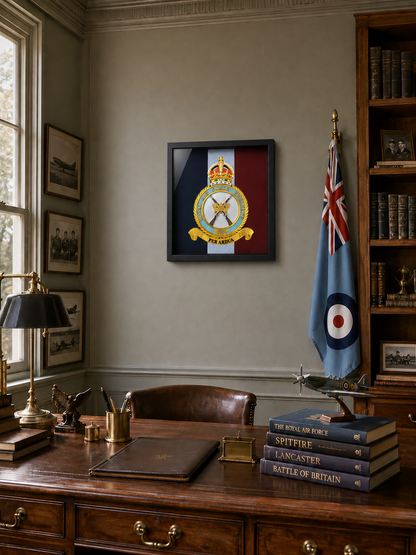 Royal Air Force Regiment Badge – King's Crown Display Frame - Precision Military Emblems 