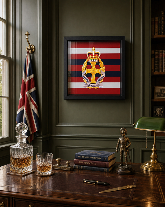 Queen Alexandra's Royal Army Nursing Corps Queen's Crown Cap Badge Display Frame