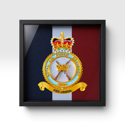 Royal Air Force Regiment Queen's Crown Emblem Display Frame - Preciion Military Emblems 