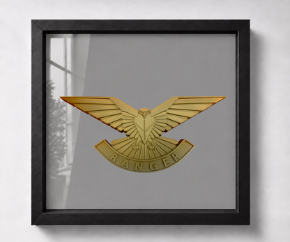 Ranger Regiment cap badge in a black shadow-box frame, showing the falcon and RANGER scroll against grey backing