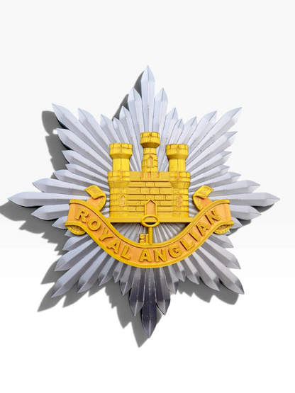 Royal Anglian Regiment cap badge showing the gold Gibraltar Castle and Key above the red ROYAL ANGLIAN scroll