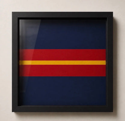 Royal Anglian Regiment cap badge display frame showing raised gold, silver and red regimental detail