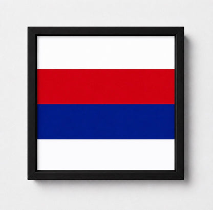 Life Guards 3D Printed Cap Badge Display Frame True Regiment Coloured Flash – King's Crown - Precision Military Emblems 