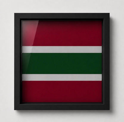 Royal Army Medical Service Display Frame - Precision Military Emblems 