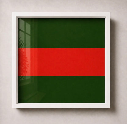 Ulster Defence Regiment Cap Badge Display Frame - Precision Military Emblems 