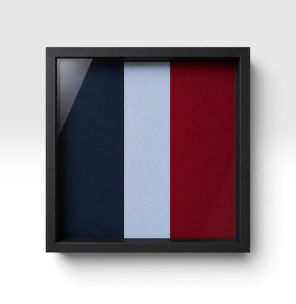 Royal Air Force Regiment Queen's Crown Emblem Display Frame - Preciion Military Emblems 