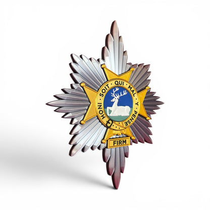 The Worcestershire and Sherwood Foresters Cap Badge - Precision Military Emblems 