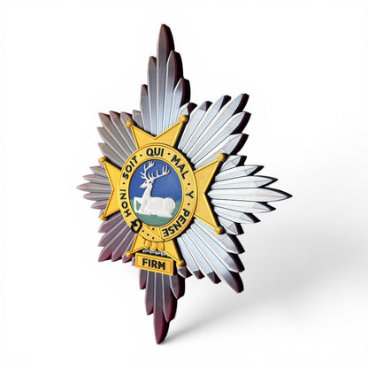 The Worcestershire and Sherwood Foresters Cap Badge - Precision Military Emblems 