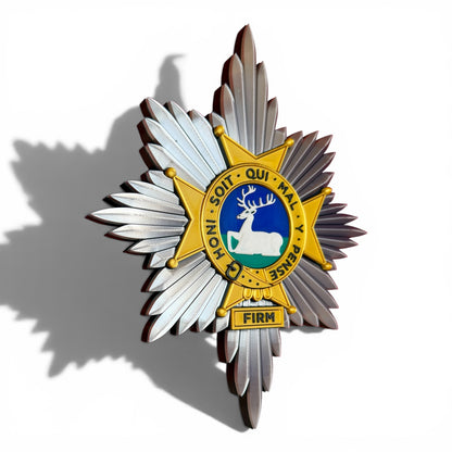 The Worcestershire and Sherwood Foresters Cap Badge - Precision Military Emblems 
